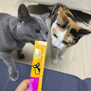 베스트 후기 이미지