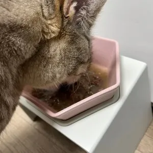 베스트 후기 이미지