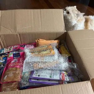 베스트 후기 이미지