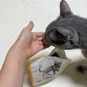 베스트 후기 이미지