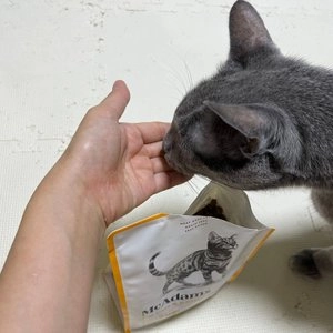 [웰컴딜] 맥아담스 캣 자유방목 홀치킨&터키 375g 베스트 후기 이미지