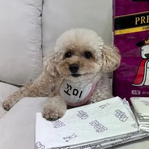 베스트 후기 이미지