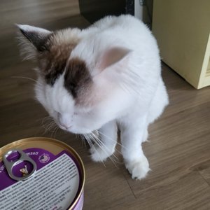 베스트 후기 이미지