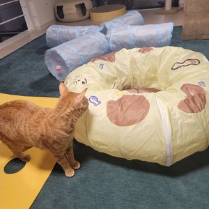 베스트 후기 이미지