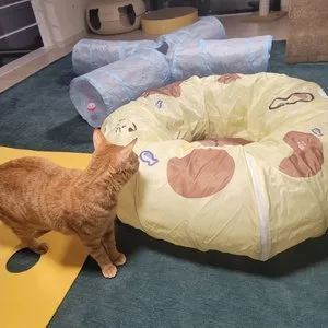 베스트 후기 이미지