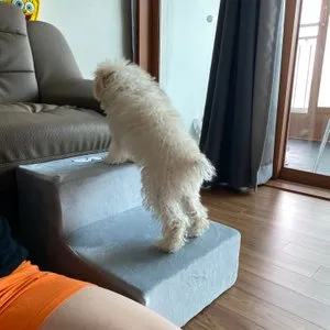 베스트 후기 이미지