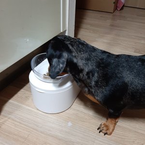 베스트 후기 이미지