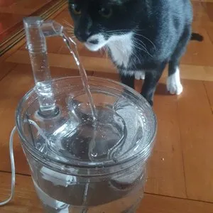 베스트 후기 이미지