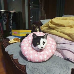 베스트 후기 이미지