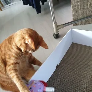 베스트 후기 이미지