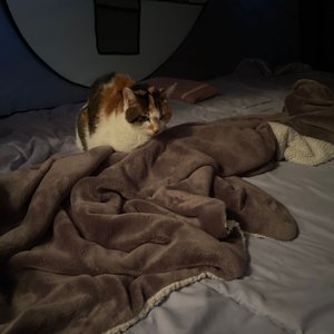 베스트 후기 이미지