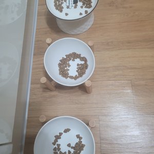 베스트 후기 이미지