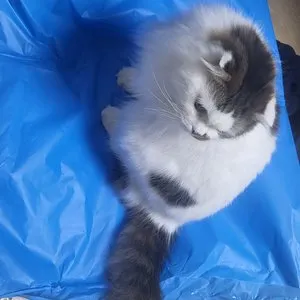 베스트 후기 이미지