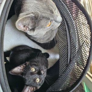 베스트 후기 이미지