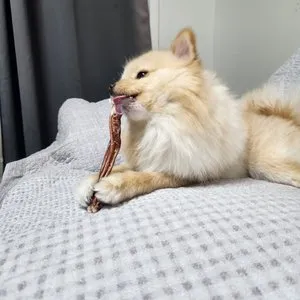 베스트 후기 이미지