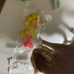 베스트 후기 이미지