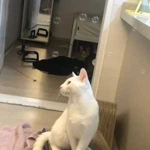 베스트 후기 이미지