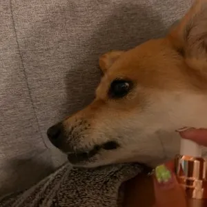 베스트 후기 이미지