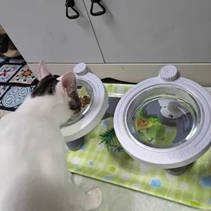 베스트 후기 이미지