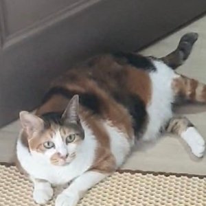 베스트 후기 이미지