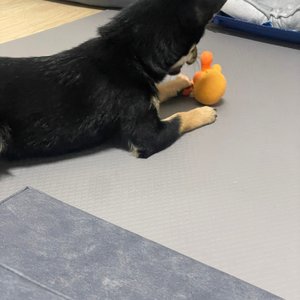 베스트 후기 이미지