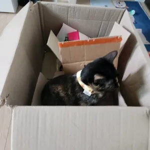 베스트 후기 이미지