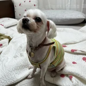 베스트 후기 이미지