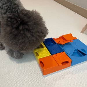 베스트 후기 이미지