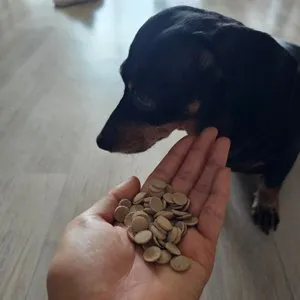 베스트 후기 이미지