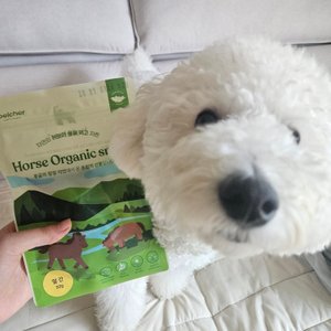 베스트 후기 이미지