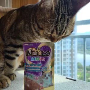 베스트 후기 이미지