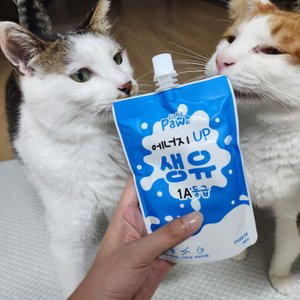 베스트 후기 이미지