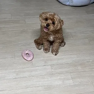 베스트 후기 이미지