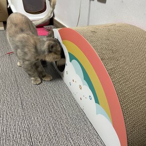 베스트 후기 이미지