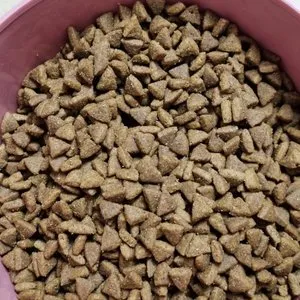 베스트 후기 이미지