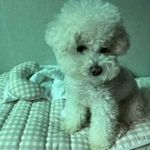 베스트 후기 이미지