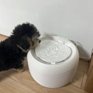 베스트 후기 이미지