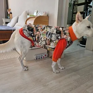 베스트 후기 이미지