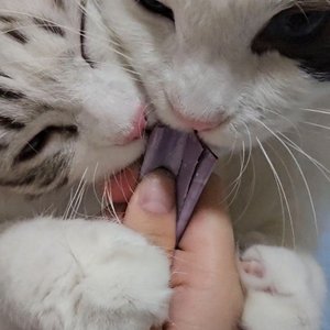 베스트 후기 이미지