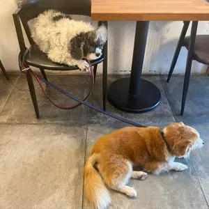 베스트 후기 이미지