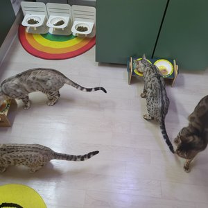 베스트 후기 이미지