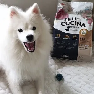 베스트 후기 이미지