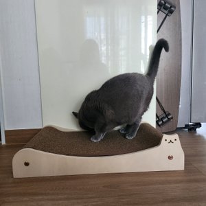 베스트 후기 이미지