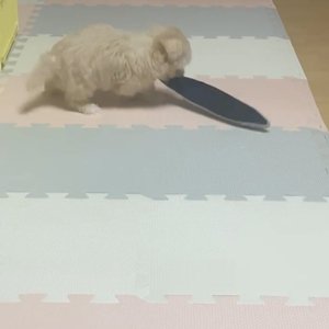 베스트 후기 이미지