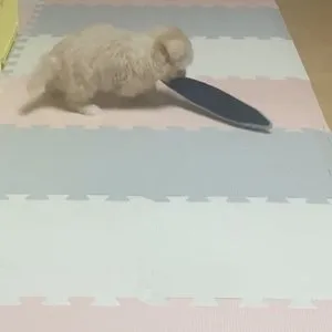 베스트 후기 이미지