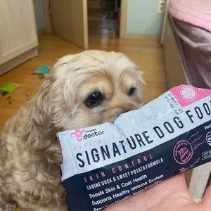 베스트 후기 이미지