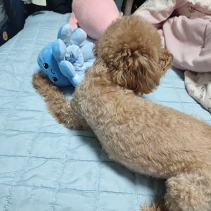 베스트 후기 이미지