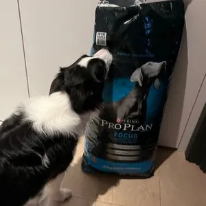 베스트 후기 이미지