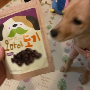 오마이도기 동결건조 블루베리 15g  베스트 후기 이미지