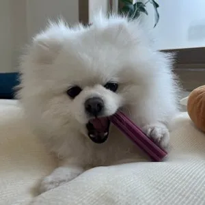 베스트 후기 이미지